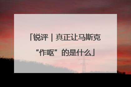 锐评｜真正让马斯克“作呕”的是什么