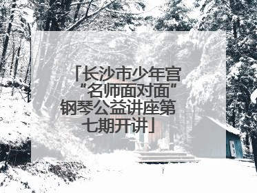 长沙市少年宫“名师面对面”钢琴公益讲座第七期开讲