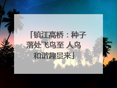 镇江高桥：种子落处飞鸟至 人鸟和谐趣景来