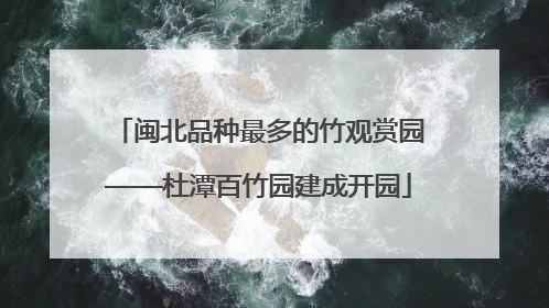 闽北品种最多的竹观赏园——杜潭百竹园建成开园