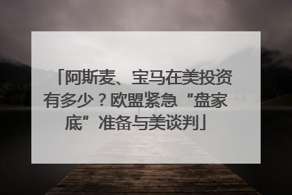 阿斯麦、宝马在美投资有多少？欧盟紧急“盘家底”准备与美谈判
