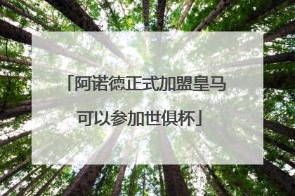 阿诺德正式加盟皇马 可以参加世俱杯