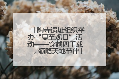 陶寺遗址组织举办“夏至观日”活动——穿越四千载，领略天地节律