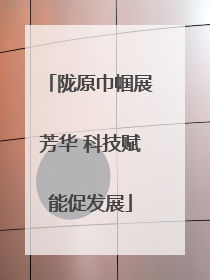 陇原巾帼展芳华 科技赋能促发展