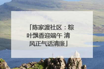陈家渡社区：粽叶飘香迎端午 清风正气话清廉