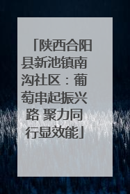 陕西合阳县新池镇南沟社区：葡萄串起振兴路 聚力同行显效能