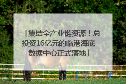 集结全产业链资源！总投资16亿元的临港海底数据中心正式落地
