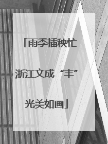 雨季插秧忙 浙江文成“丰”光美如画