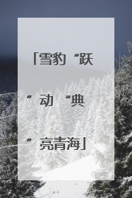 雪豹“跃”动 “典”亮青海