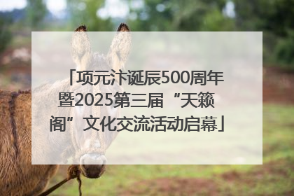 项元汴诞辰500周年暨2025第三届“天籁阁”文化交流活动启幕