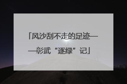 风沙刮不走的足迹——彰武“逐绿”记