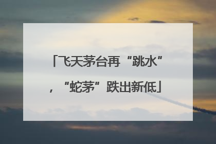 飞天茅台再“跳水”，“蛇茅”跌出新低