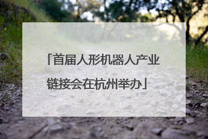 首届人形机器人产业链接会在杭州举办