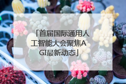 首届国际通用人工智能大会聚焦AGI最新动态