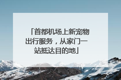 首都机场上新宠物出行服务，从家门一站抵达目的地