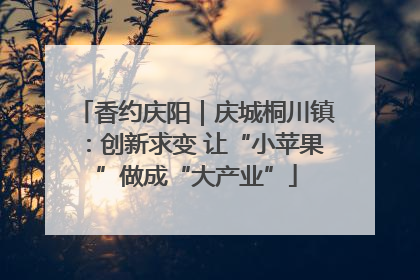 香约庆阳｜庆城桐川镇：创新求变 让“小苹果”做成“大产业”