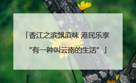 香江之滨飘滇味 港民乐享“有一种叫云南的生活”