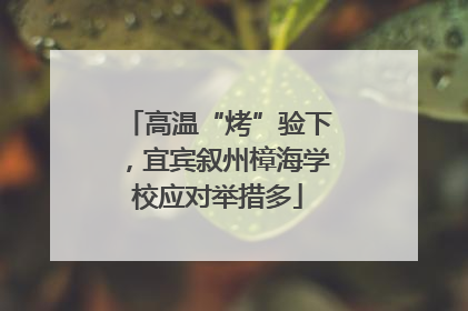高温“烤”验下，宜宾叙州樟海学校应对举措多