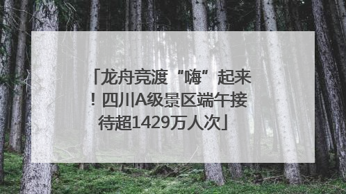 龙舟竞渡“嗨”起来！四川A级景区端午接待超1429万人次