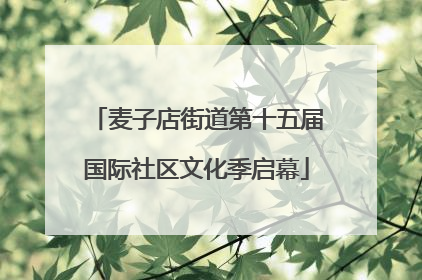麦子店街道第十五届国际社区文化季启幕
