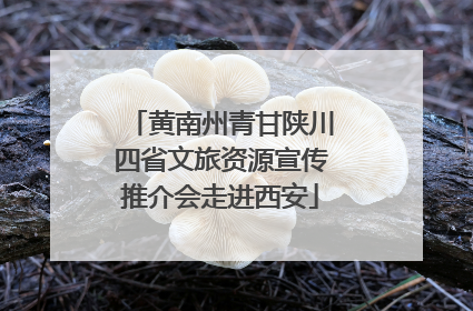 黄南州青甘陕川四省文旅资源宣传推介会走进西安