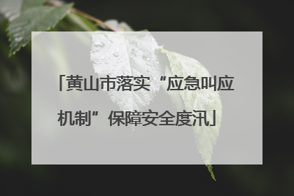 黄山市落实“应急叫应机制”保障安全度汛