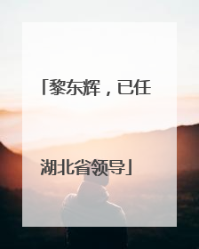黎东辉，已任湖北省领导