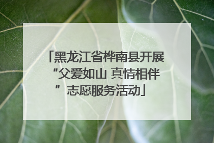 黑龙江省桦南县开展“父爱如山 真情相伴”志愿服务活动
