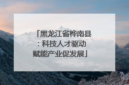 黑龙江省桦南县：科技人才驱动 赋能产业促发展