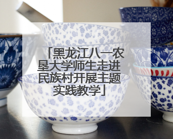黑龙江八一农垦大学师生走进民族村开展主题实践教学