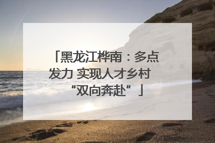 黑龙江桦南：多点发力 实现人才乡村“双向奔赴”