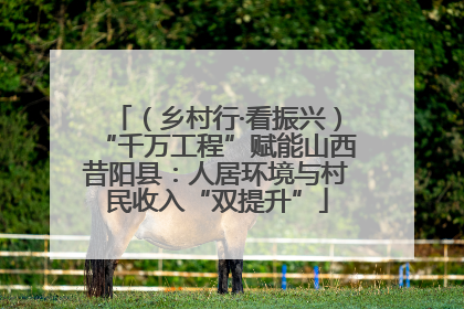 （乡村行·看振兴）“千万工程”赋能山西昔阳县：人居环境与村民收入“双提升”