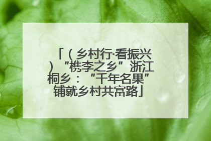（乡村行·看振兴）“槜李之乡”浙江桐乡：“千年名果”铺就乡村共富路