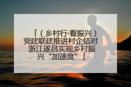 （乡村行·看振兴）党建联建推进村企结对 浙江遂昌实现乡村振兴“加速度”
