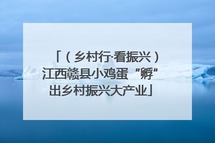 （乡村行·看振兴）江西赣县小鸡蛋“孵”出乡村振兴大产业