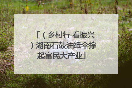 （乡村行·看振兴）湖南石鼓油纸伞撑起富民大产业