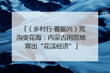 （乡村行·看振兴）荒沟变花海：内蒙古闲置地育出“花漾经济”