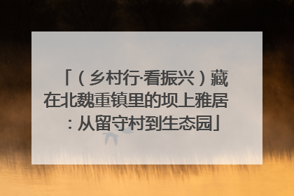 （乡村行·看振兴）藏在北魏重镇里的坝上雅居：从留守村到生态园