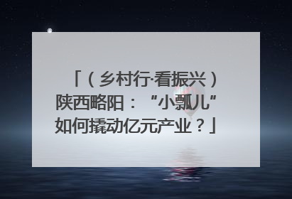 （乡村行·看振兴）陕西略阳：“小瓢儿”如何撬动亿元产业？