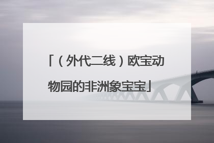 （外代二线）欧宝动物园的非洲象宝宝