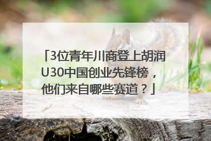 3位青年川商登上胡润U30中国创业先锋榜，他们来自哪些赛道？