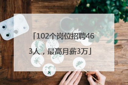 102个岗位招聘463人，最高月薪3万
