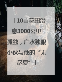 10亩花田治愈3000公里孤独，广水独眼小伙与他的“无尽夏”