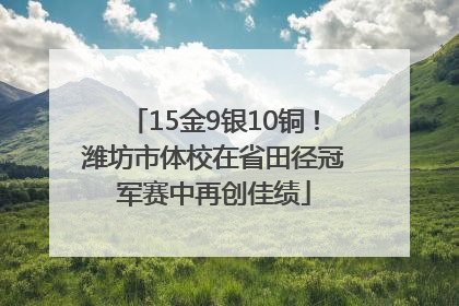 15金9银10铜！潍坊市体校在省田径冠军赛中再创佳绩