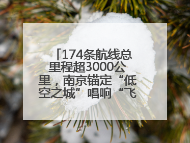 174条航线总里程超3000公里，南京锚定“低空之城”唱响“飞得更高”