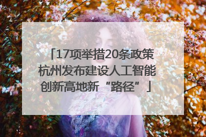 17项举措20条政策 杭州发布建设人工智能创新高地新“路径”