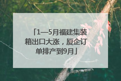 1—5月福建集装箱出口大涨，厦企订单排产到9月