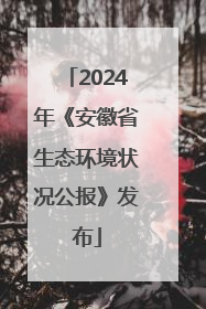 2024年《安徽省生态环境状况公报》发布