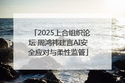 2025上合组织论坛 周鸿祎建言AI安全应对与柔性监管