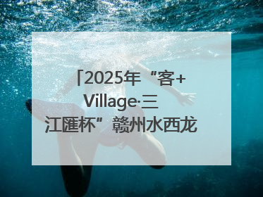 2025年“客+Village·三江匯杯”赣州水西龙舟文化节圆满落幕